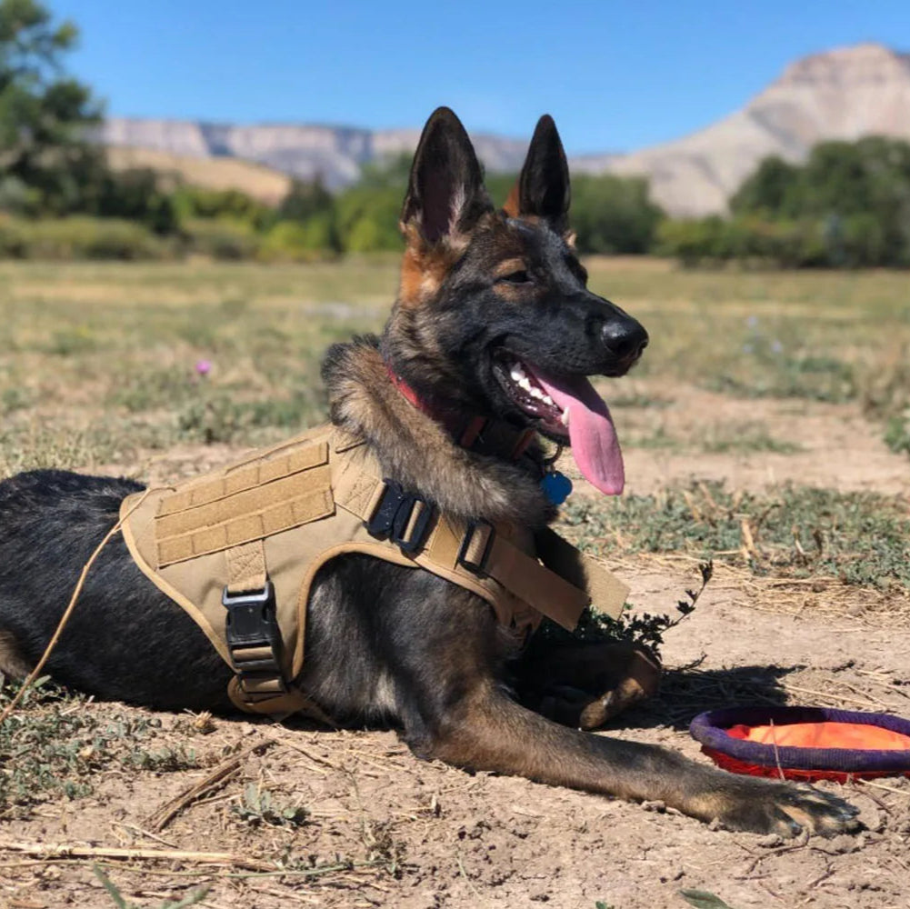 KrachtGrip Heavy Duty Tactical Dog Harness with Handle