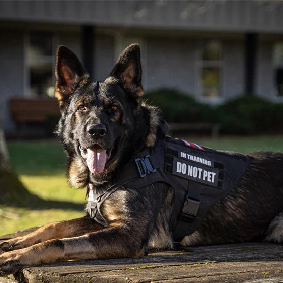 KrachtGrip Heavy Duty Tactical Dog Harness with Handle