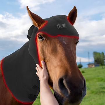 Wearable Equine Red & Infrared Light Therapy Device