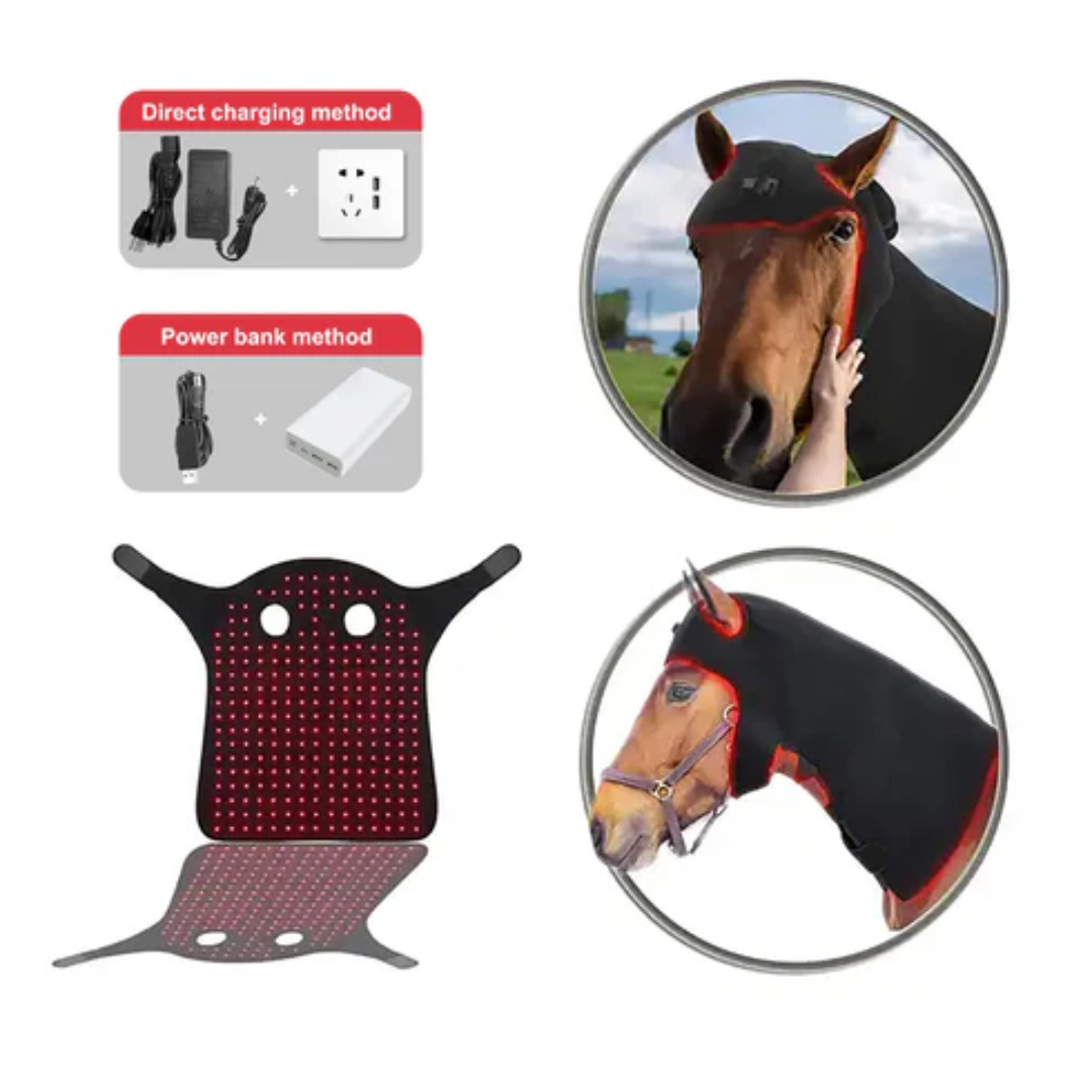 Wearable horse Red Light Therapy Poll Cap
