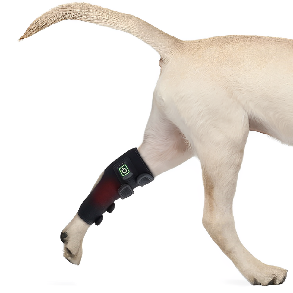 Pet Leg Red Light Therapy Wrap