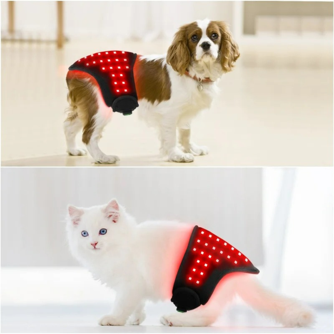 Red Light Therapy Wrap for Dogs & Cats - Pain Relief & Healing