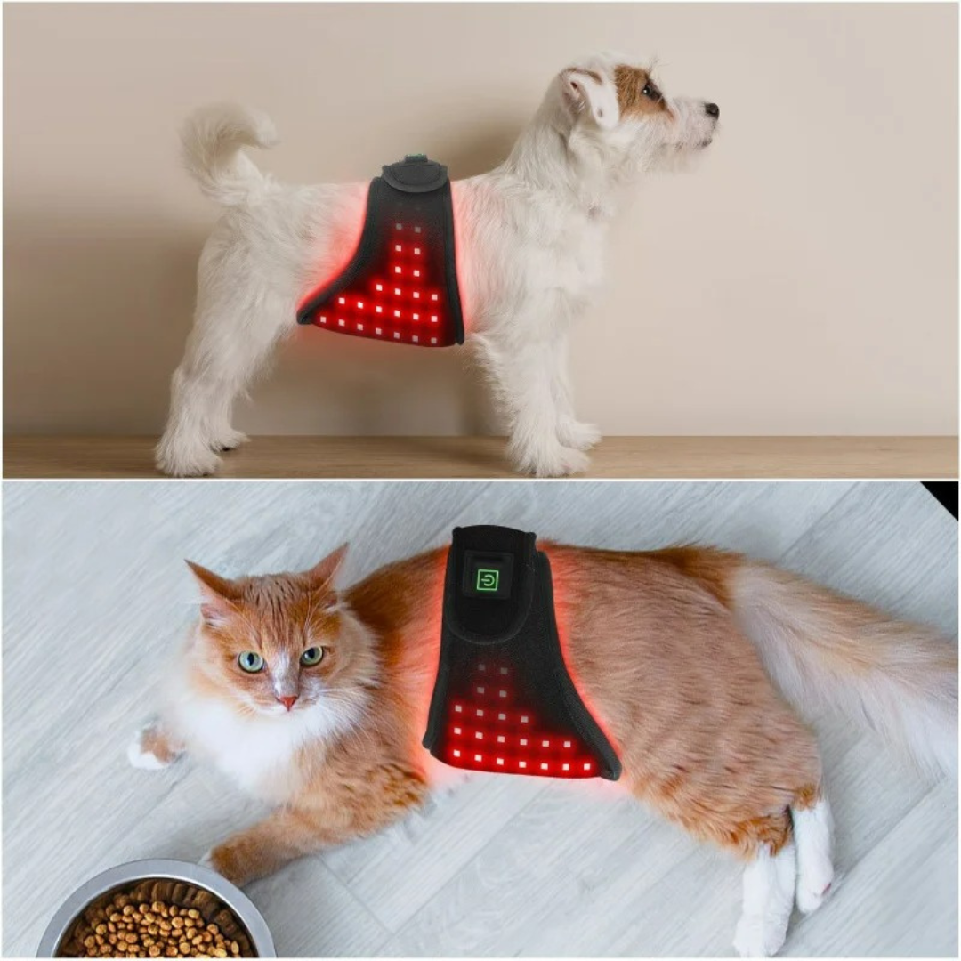 Red Light Therapy Wrap for Dogs & Cats - Pain Relief & Healing