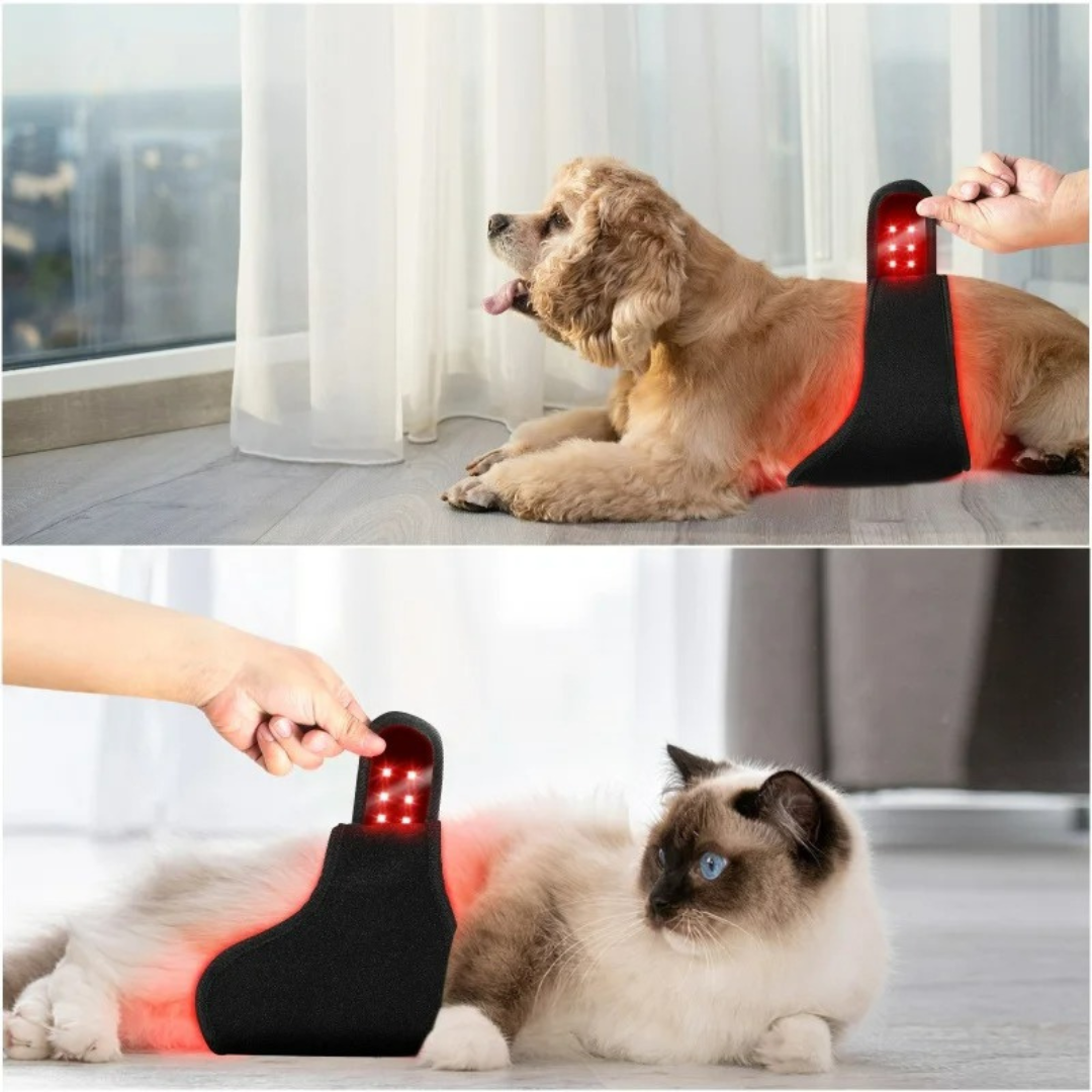 Red Light Therapy Wrap for Dogs & Cats - Pain Relief & Healing