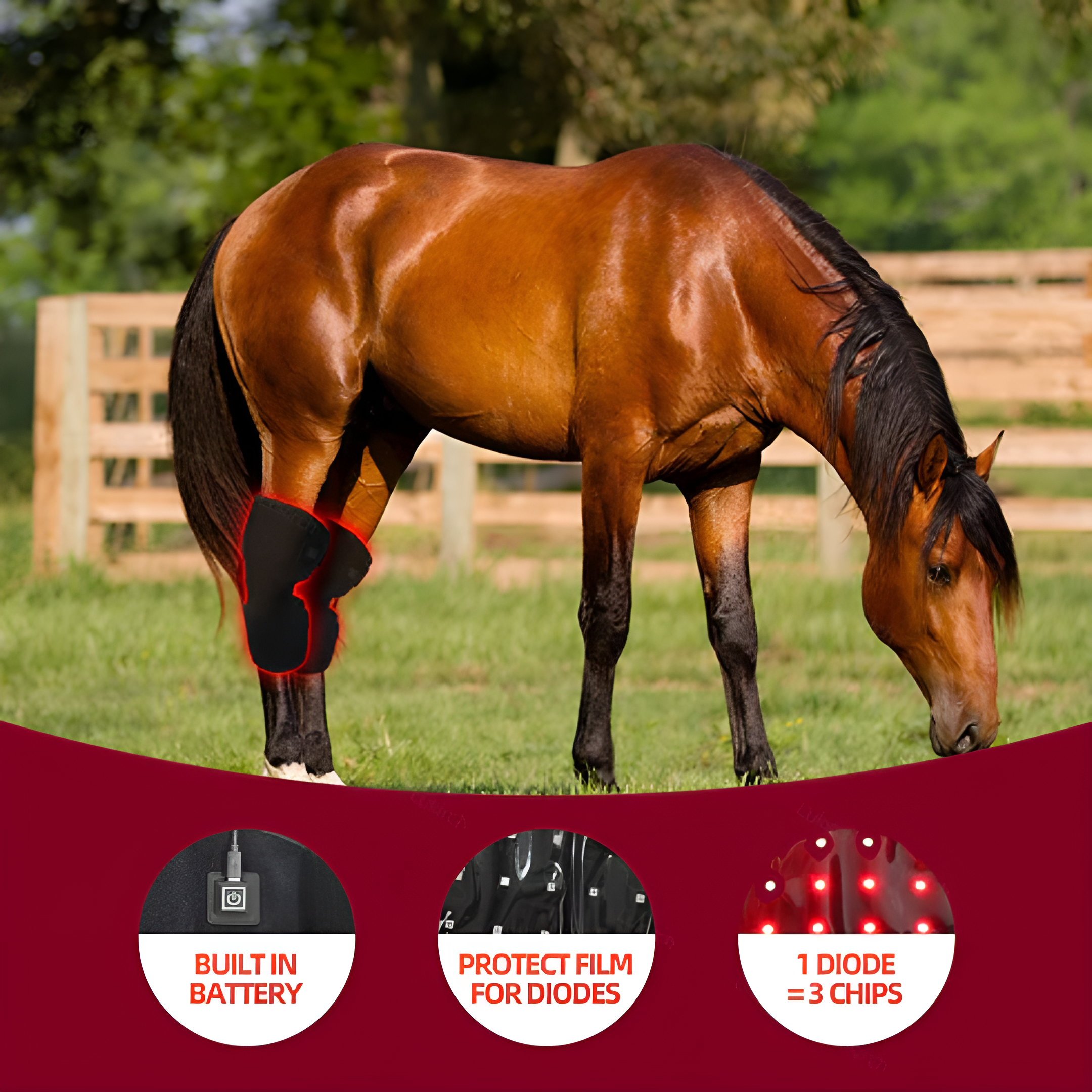 Horse Red Light Therapy Equine Hock Boot
