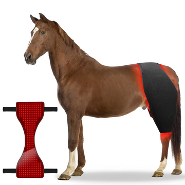 Red Infrared Light Therapy pad for Equine Pain Relief