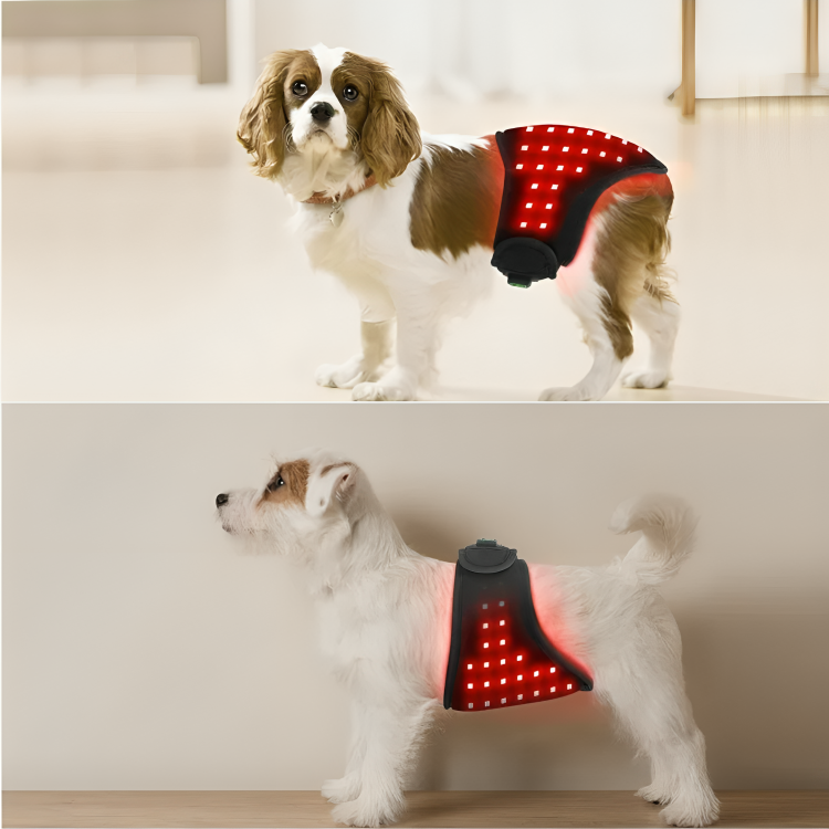 Red Light Therapy Wrap for Dogs & Cats - Pain Relief & Healing