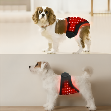 Red Infrared Light Therapy Wrap for Pets