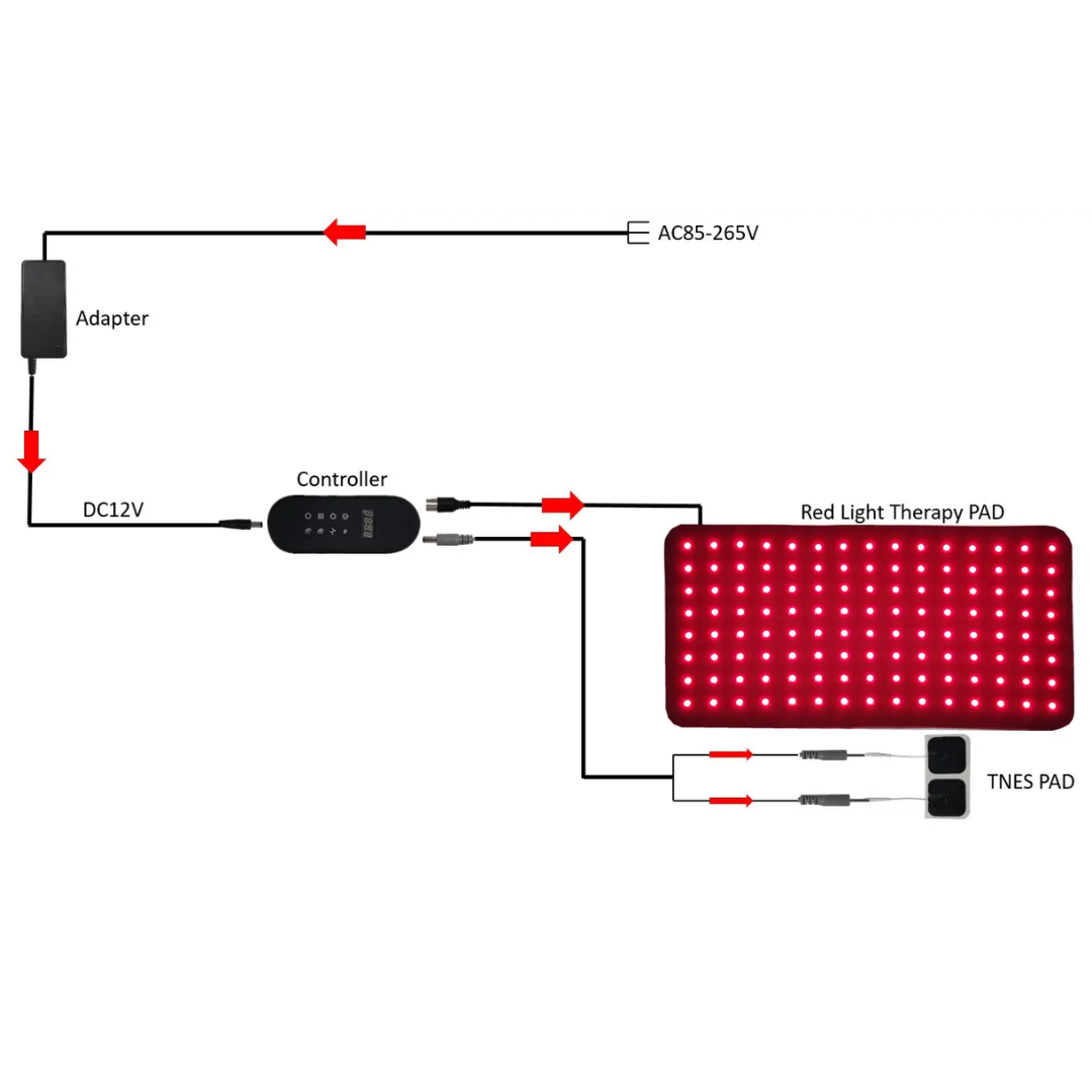 Red  Infrared Light Therapy Belt with TENS