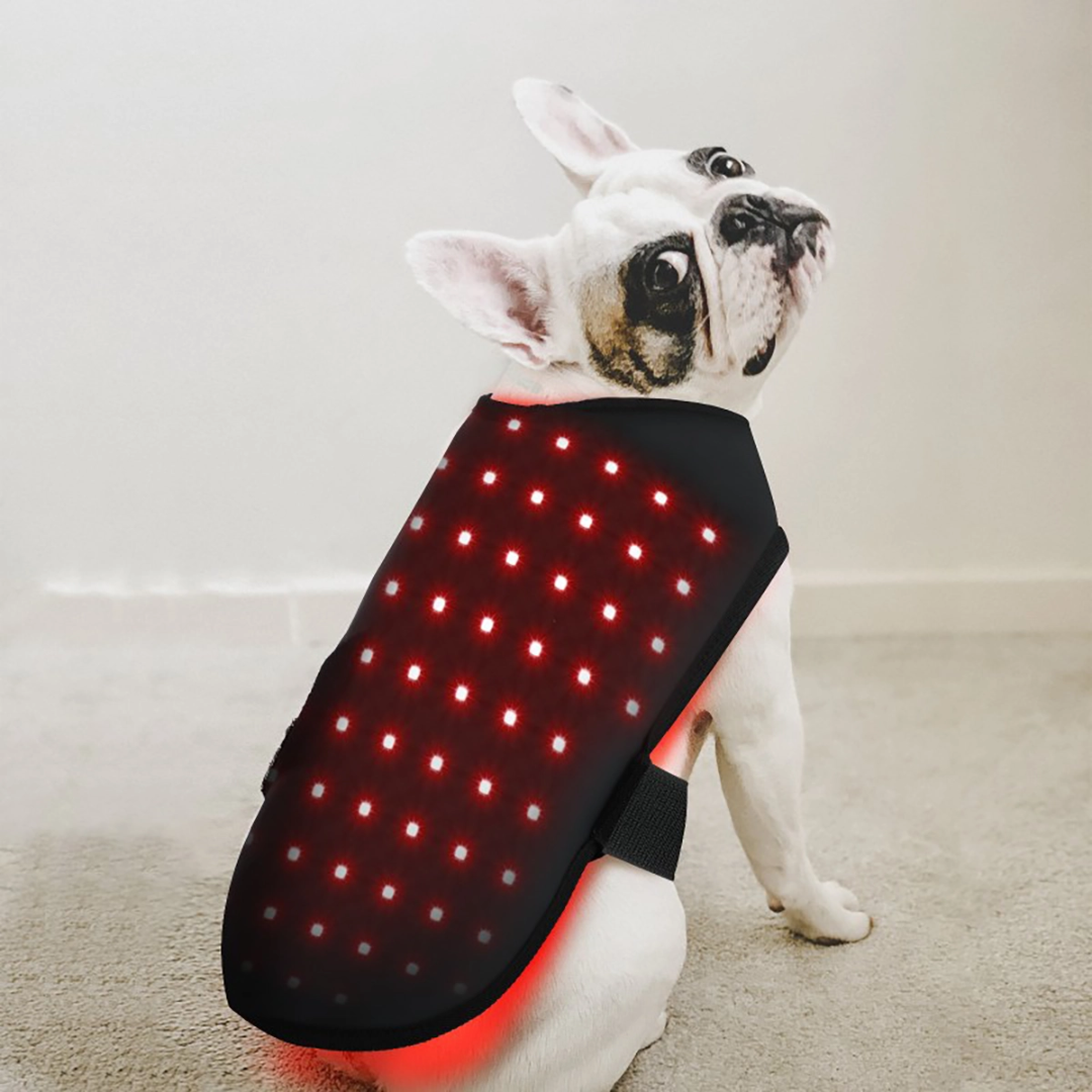 Red Light Therapy Coat for Dogs & Cats