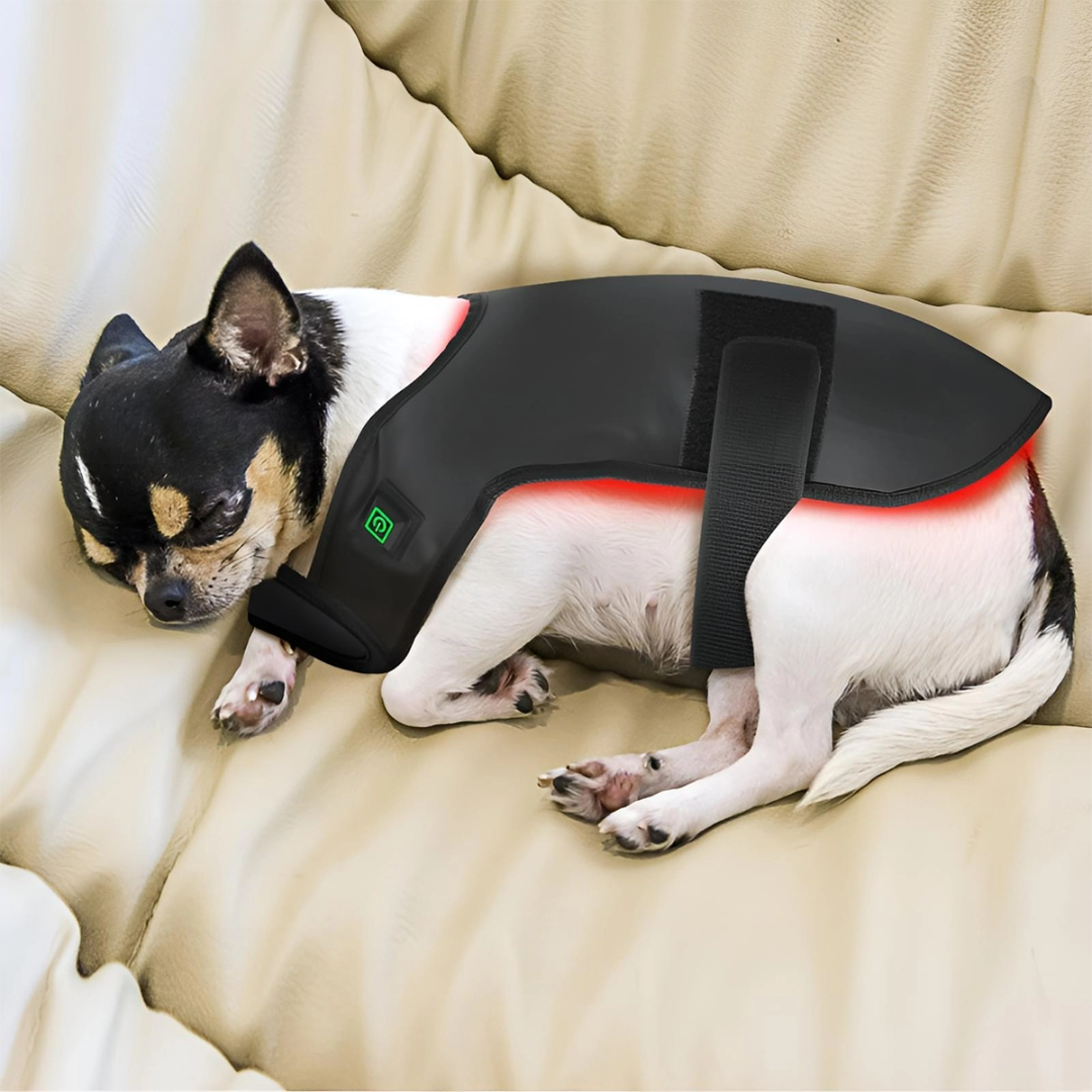 Red Light Therapy Coat for Dogs & Cats