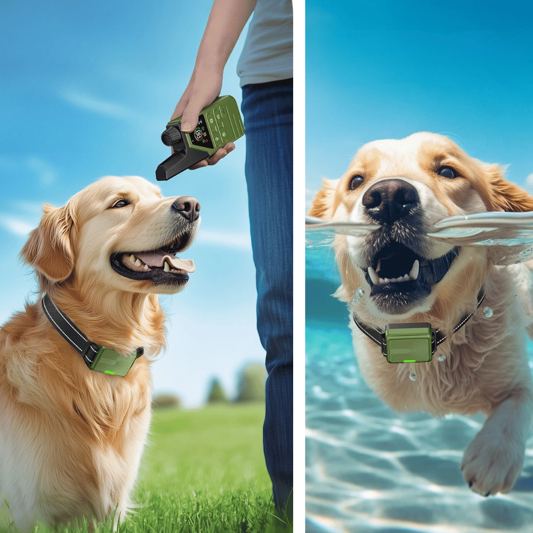 Shock Collar for Dogs | Electric e-Collar with LCD Remote Control Zap for Stubborn & Aggressive Dogs | Large & Small Breeds, Waterproof