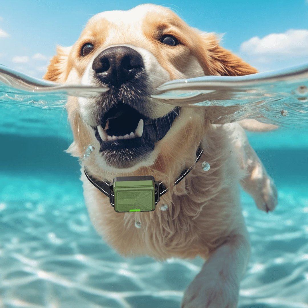 Shock Collar for Dogs | Electric e-Collar with LCD Remote Control Zap for Stubborn & Aggressive Dogs | Large & Small Breeds, Waterproof