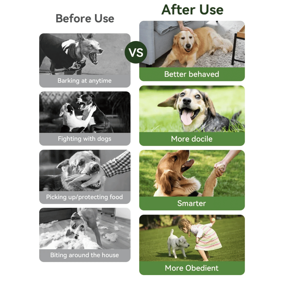 Shock Collar for Dogs | Electric e-Collar with LCD Remote Control Zap for Stubborn & Aggressive Dogs | Large & Small Breeds, Waterproof