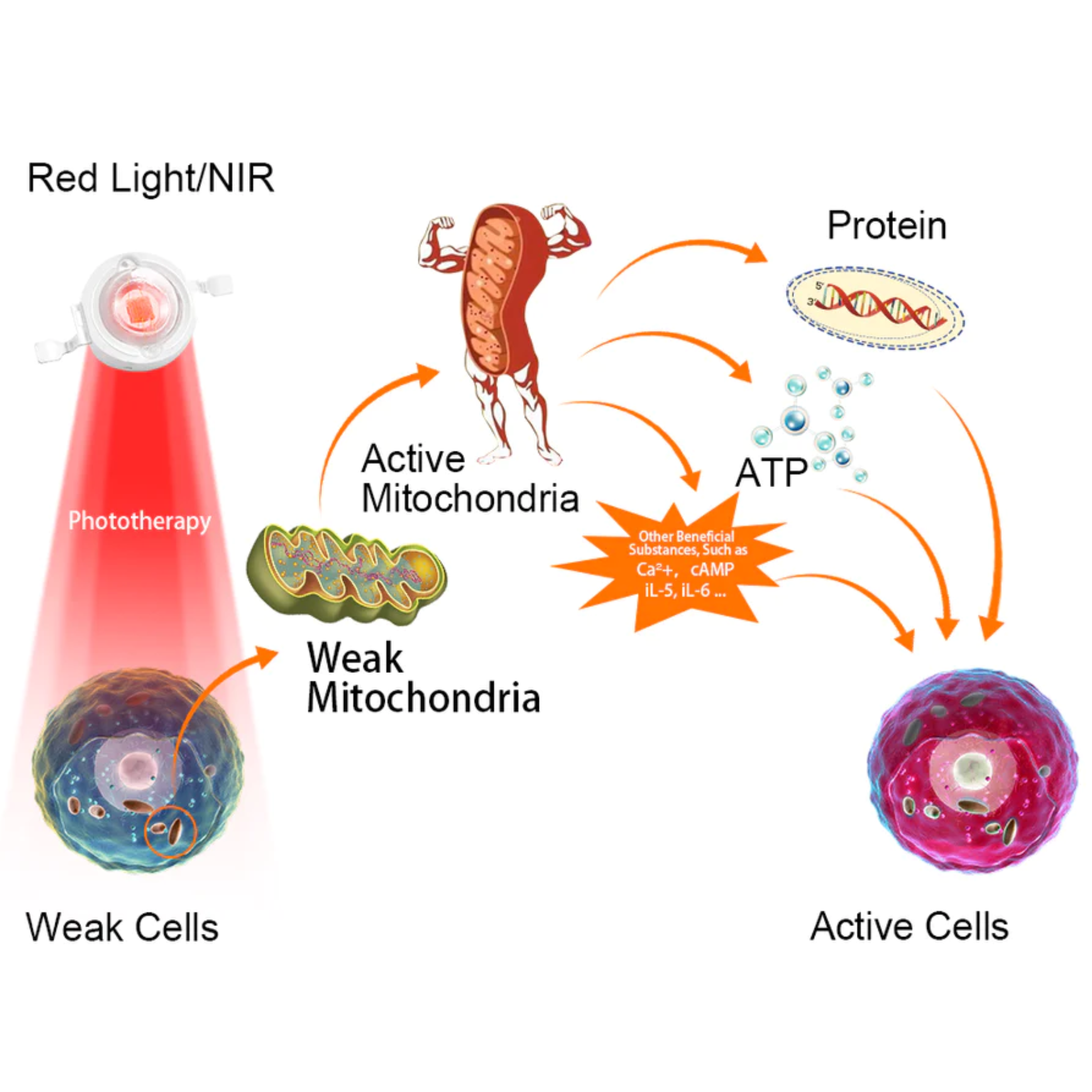 Arthritis Pain Relief Gloves | Red Light & Infrared Therapy for Hands, Wrists & Joints