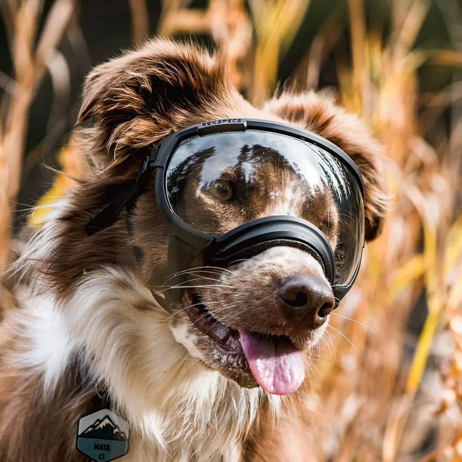 Dog Sunglasses, Waterproof UV Dog Goggles for Small, Medium and Large Dogs, Eye Protection, Mulitcoloured
