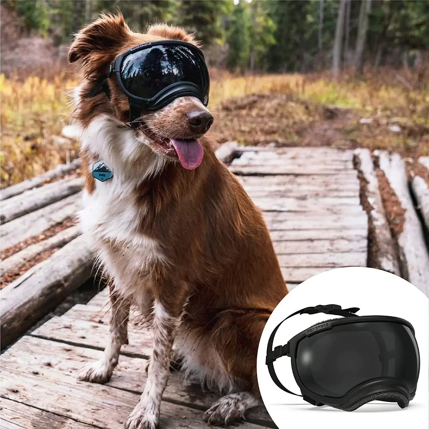 Dog Sunglasses, Waterproof UV Dog Goggles for Small, Medium and Large Dogs, Eye Protection, Mulitcoloured