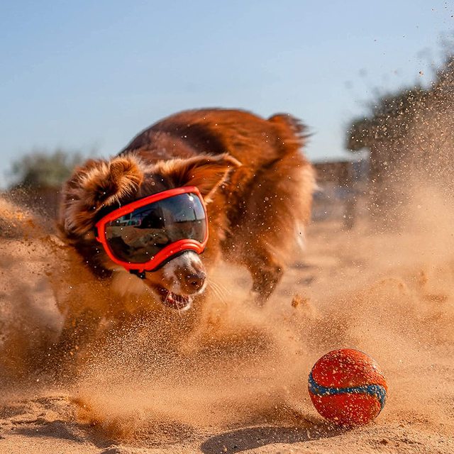 Dog Sunglasses, Waterproof UV Dog Goggles for Small, Medium and Large Dogs, Eye Protection, Mulitcoloured