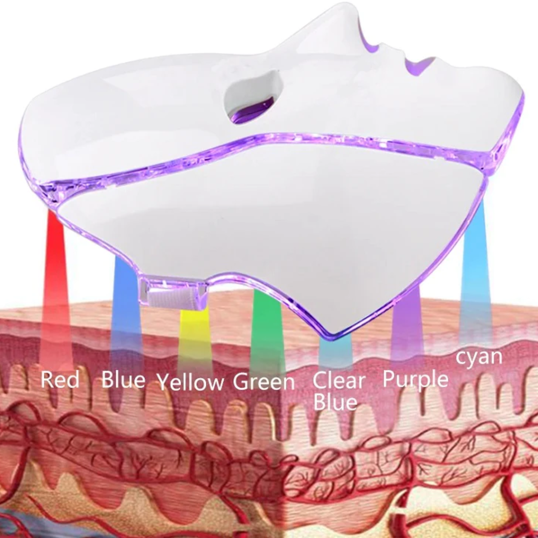 Professional 7-Color LED Phototherapy Mask | for Anti-Aging, Acne & Skin Rejuvenation