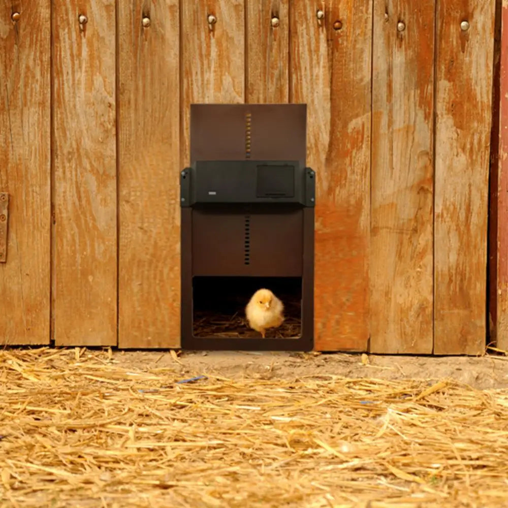 DuskiDeni Automatic Chicken Coop Door - Smart Light Sensor Poultry Opener - Predator Proof Waterproof Battery Powered Duck House Gate