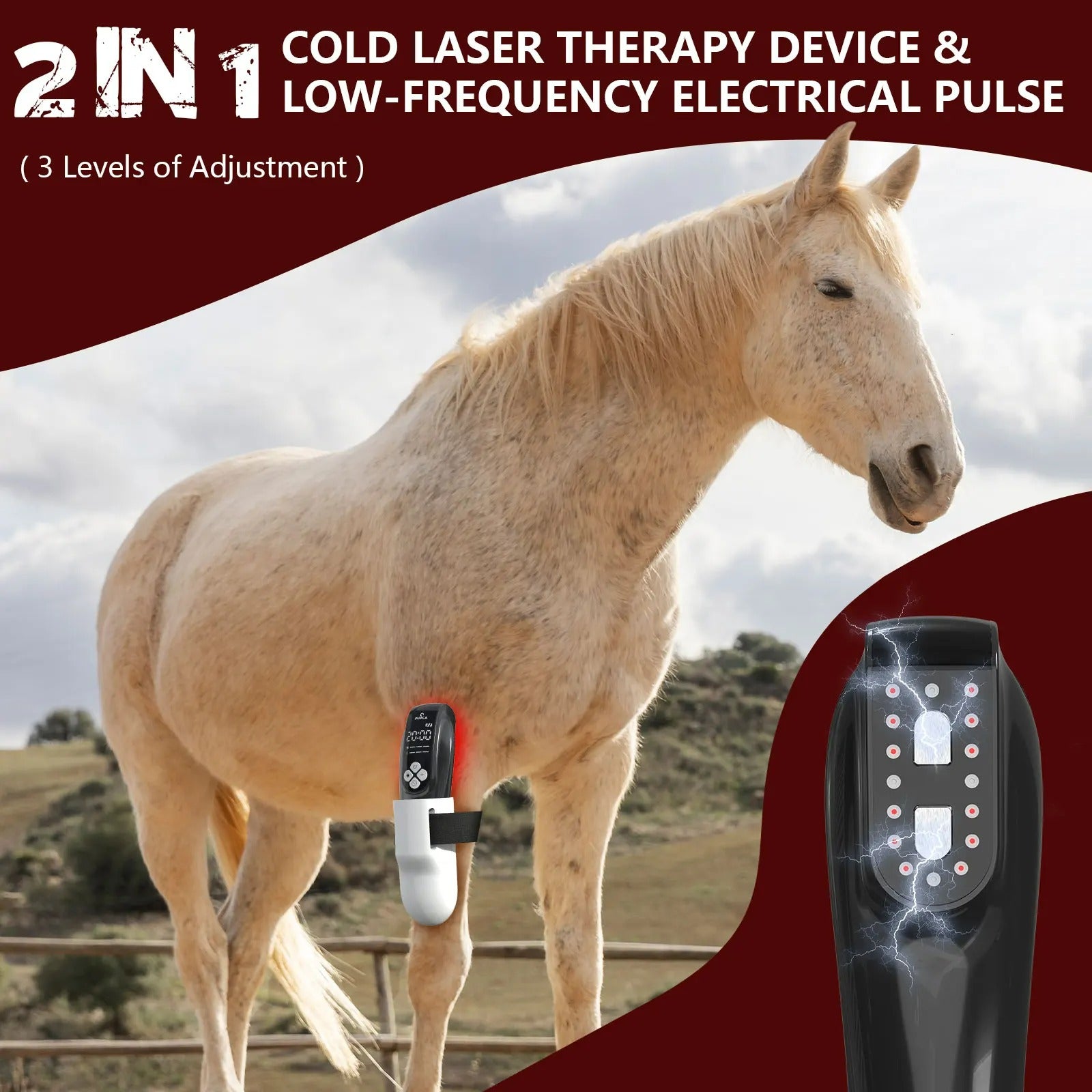 Extra Strength  Equine Cold Laser Therapy