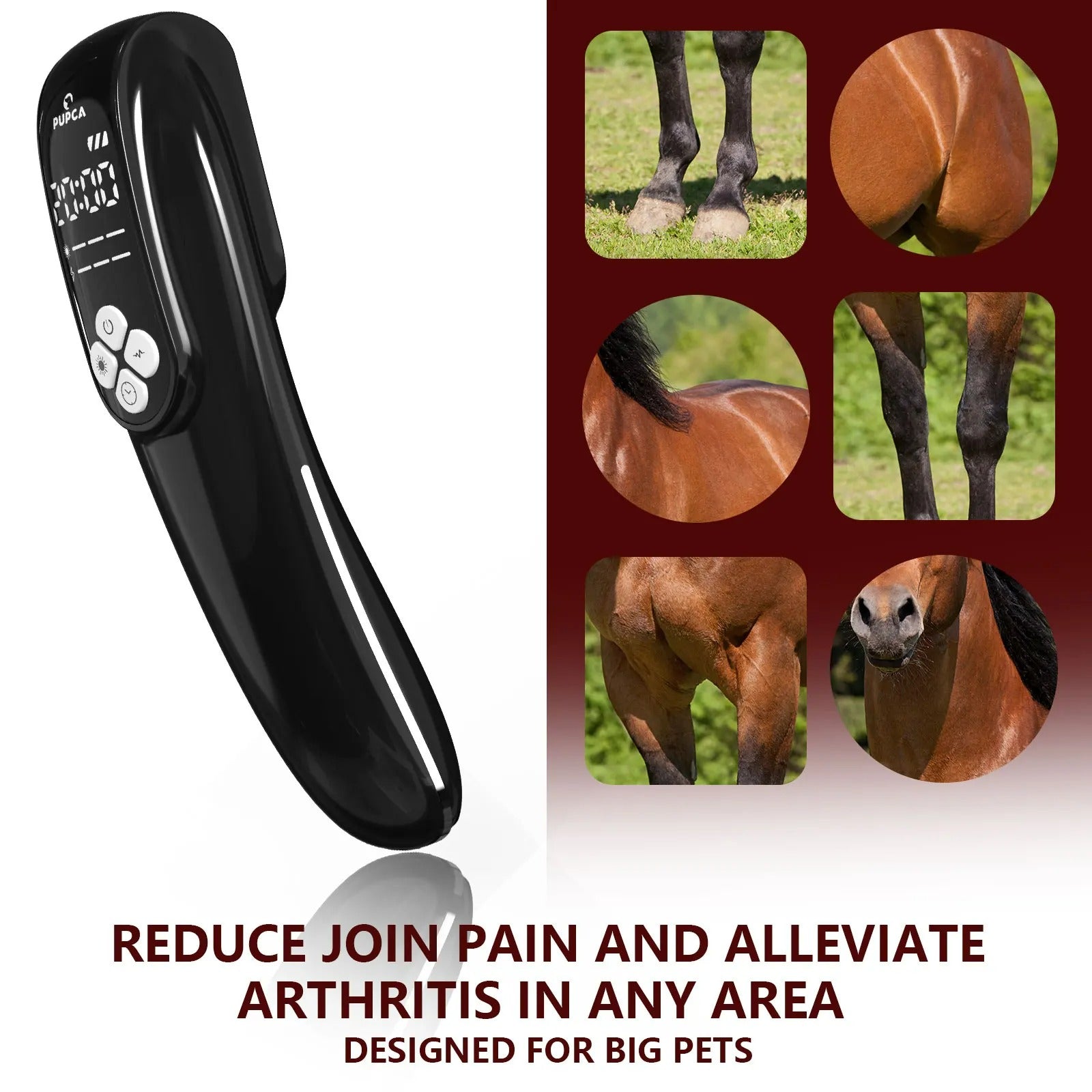 Extra Strength  Equine Cold Laser Therapy