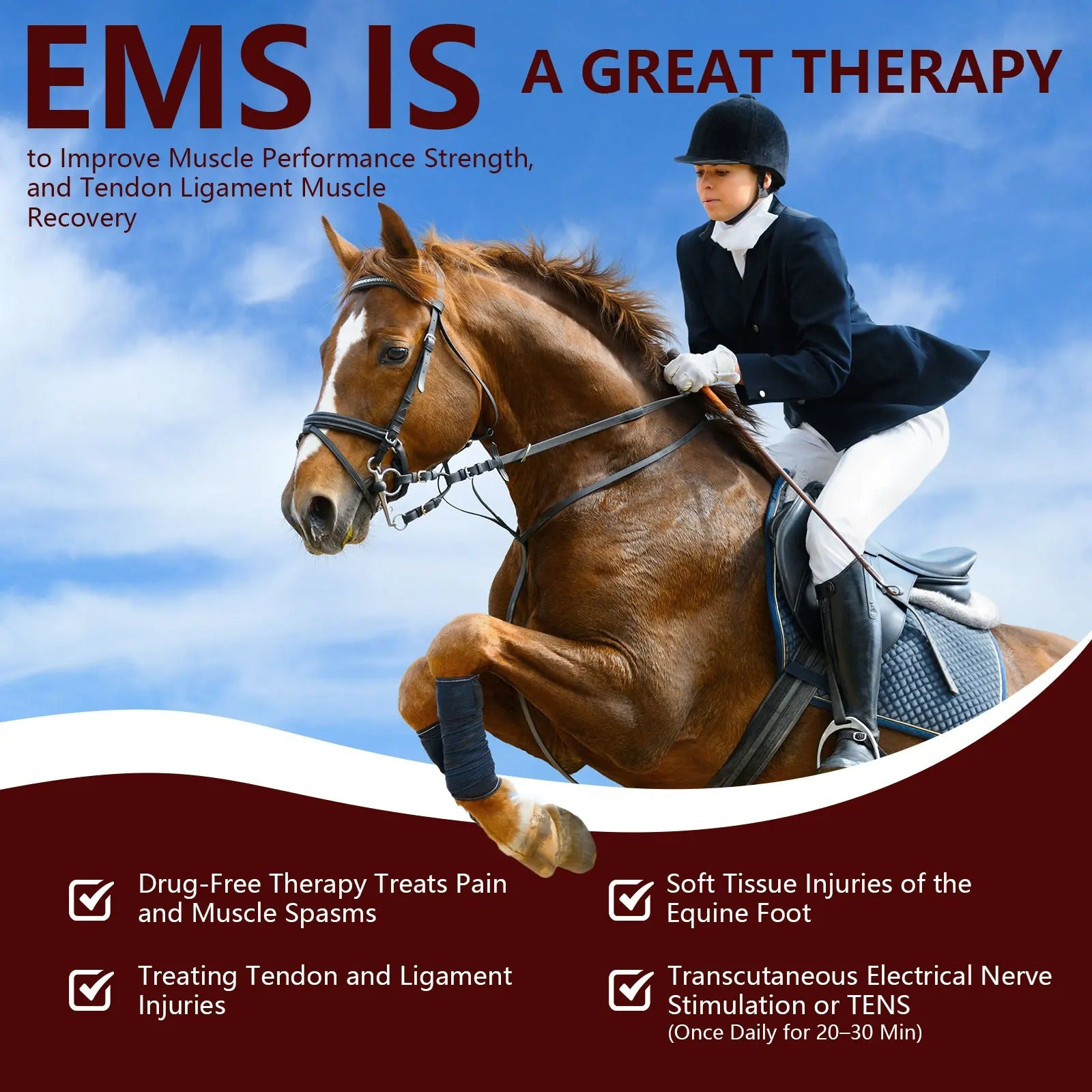Extra Strength  Equine Cold Laser Therapy