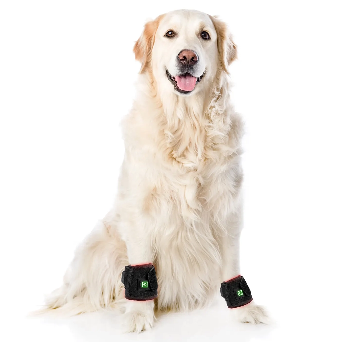 Infrared Red Light Therapy Hoof Healer for Horses