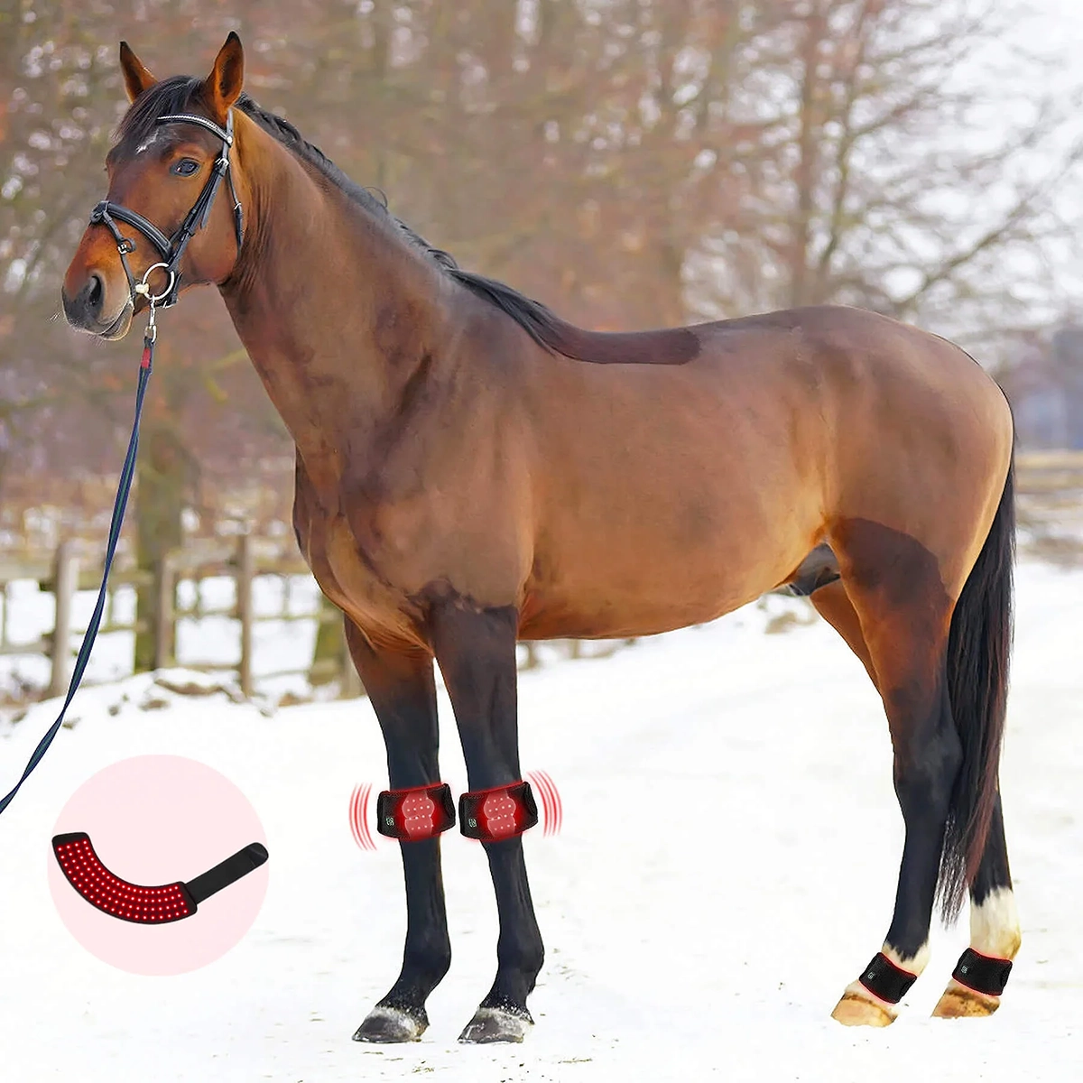 Infrared Red Light Therapy Hoof Healer for Horses