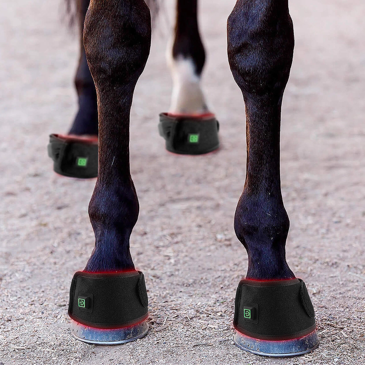 Infrared Red Light Therapy Hoof Healer for Horses