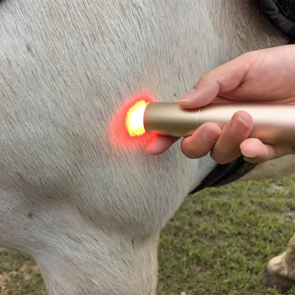 Red Light Therapy Torch for Horses & Pets | Pain Relief, Tendon, Joint, & Muscle Recovery