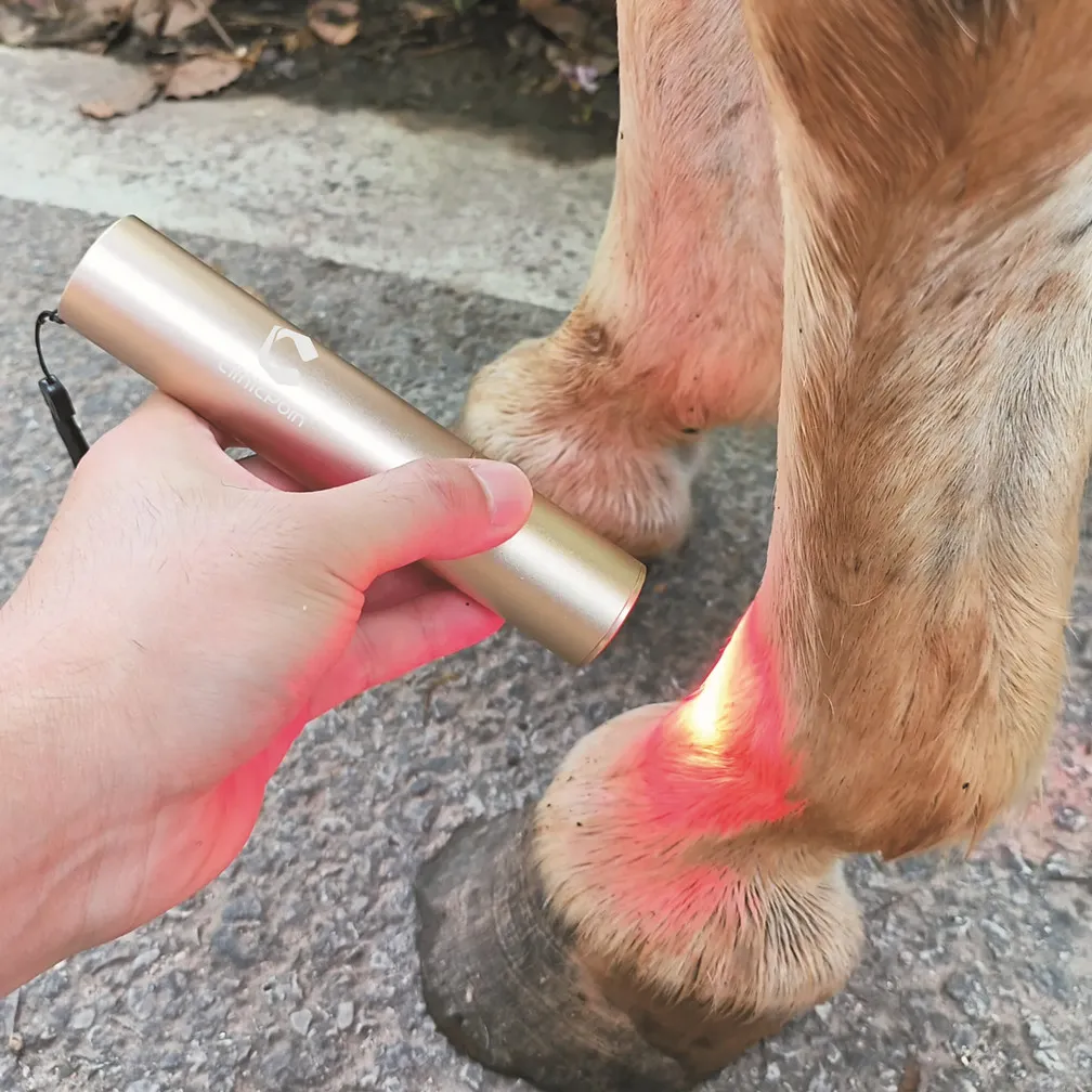 Red Light Therapy Torch for Horses & Pets | Pain Relief, Tendon, Joint, & Muscle Recovery