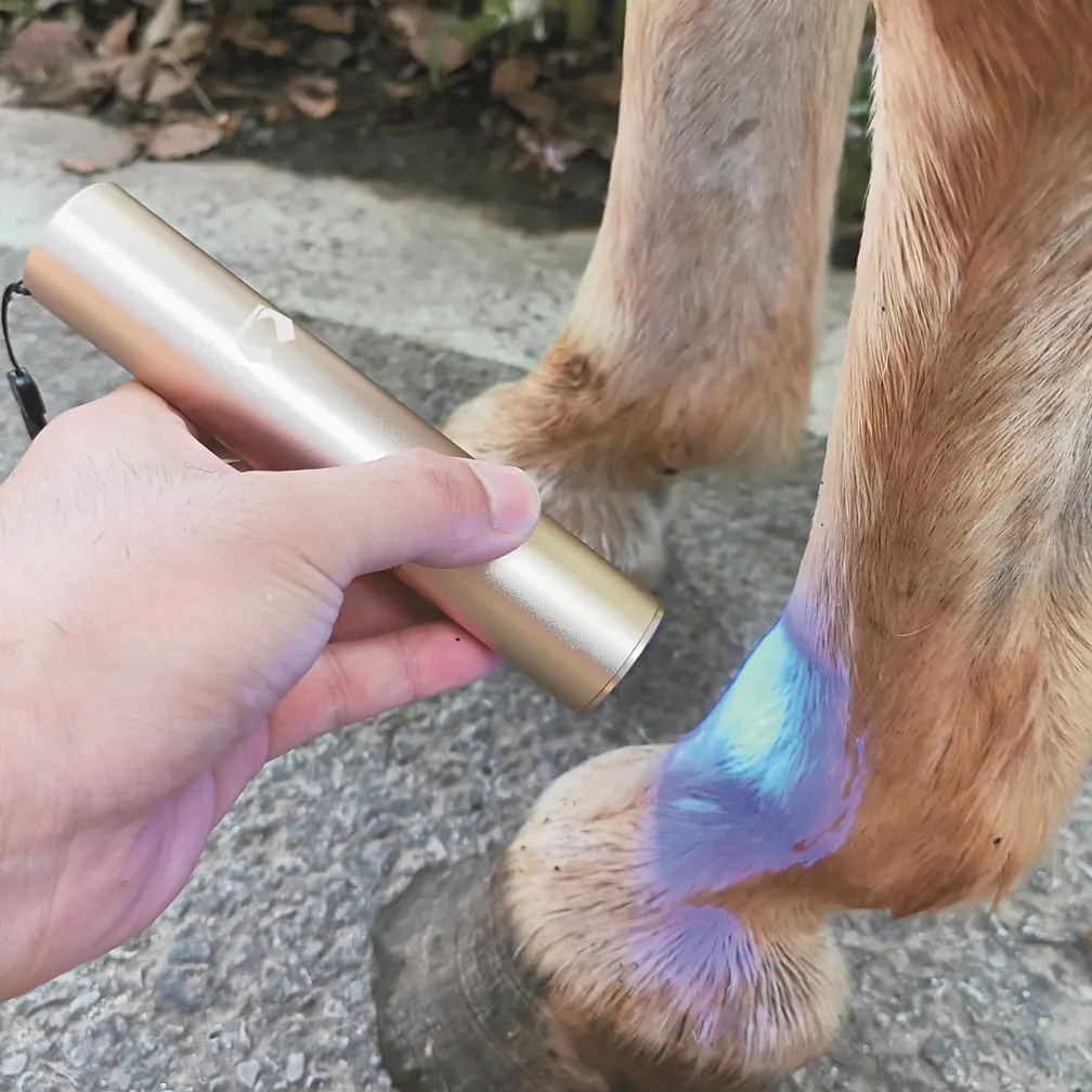 Red Light Therapy Torch for Horses & Pets | Pain Relief, Tendon, Joint, & Muscle Recovery
