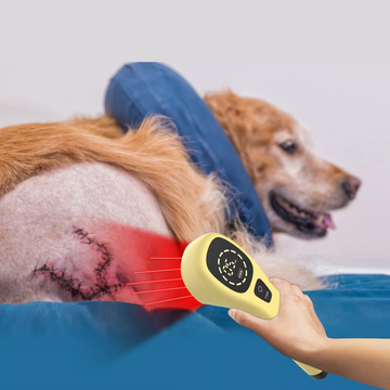 Pet Handheld Cold Laser Therapy Device