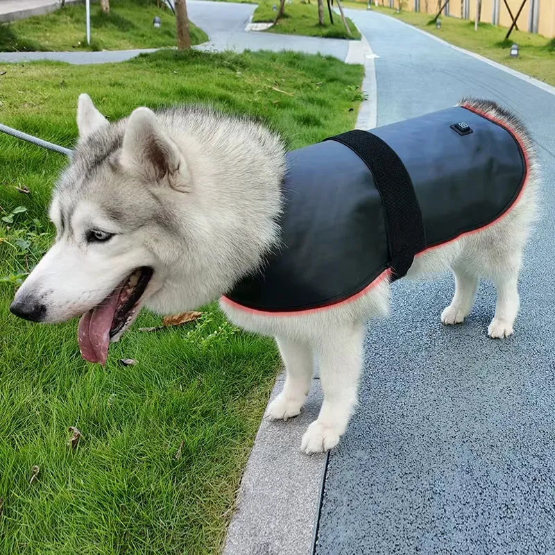 Red Light Therapy Coat for Dogs & Cats