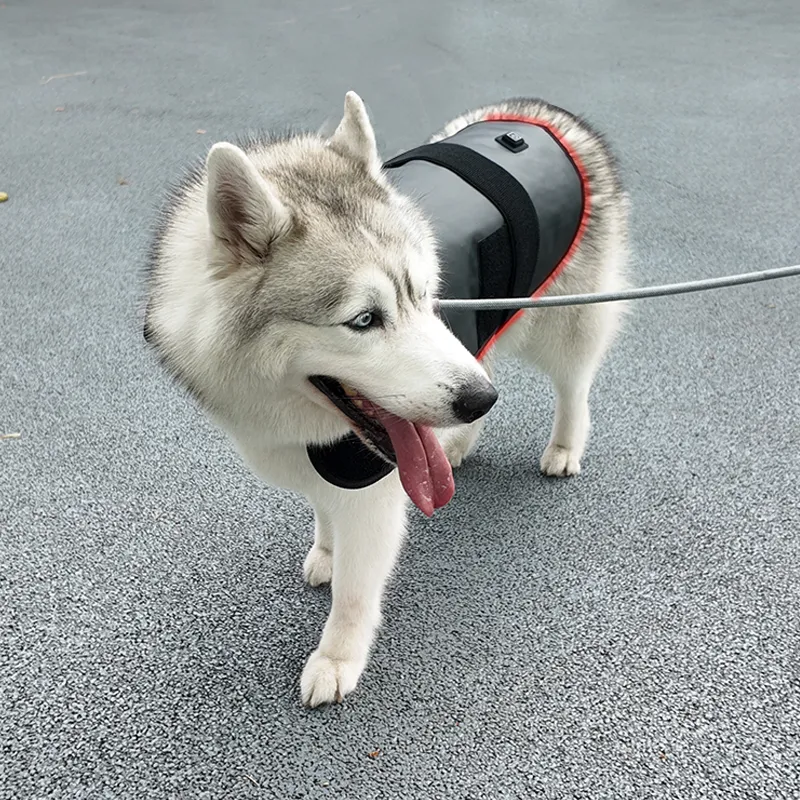Red Light Therapy Coat for Dogs & Cats