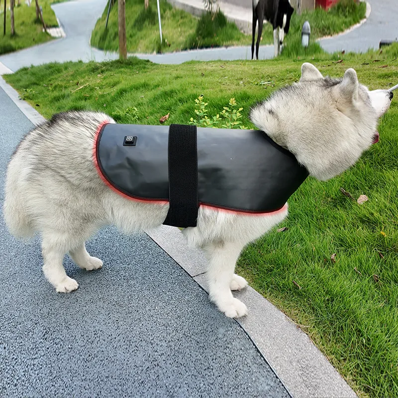 Red Light Therapy Coat for Dogs & Cats