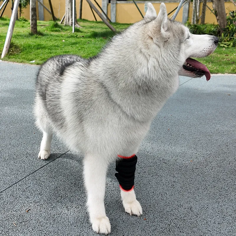 2PCs-Red Light Therapy Pet Leg Wrap