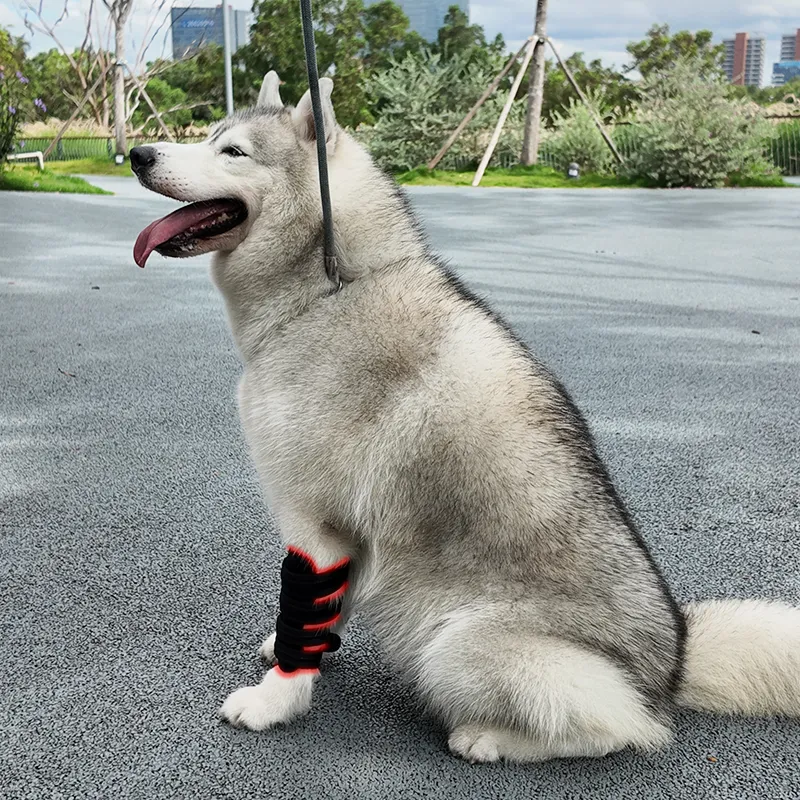 2PCs-Red Light Therapy Pet Leg Wrap