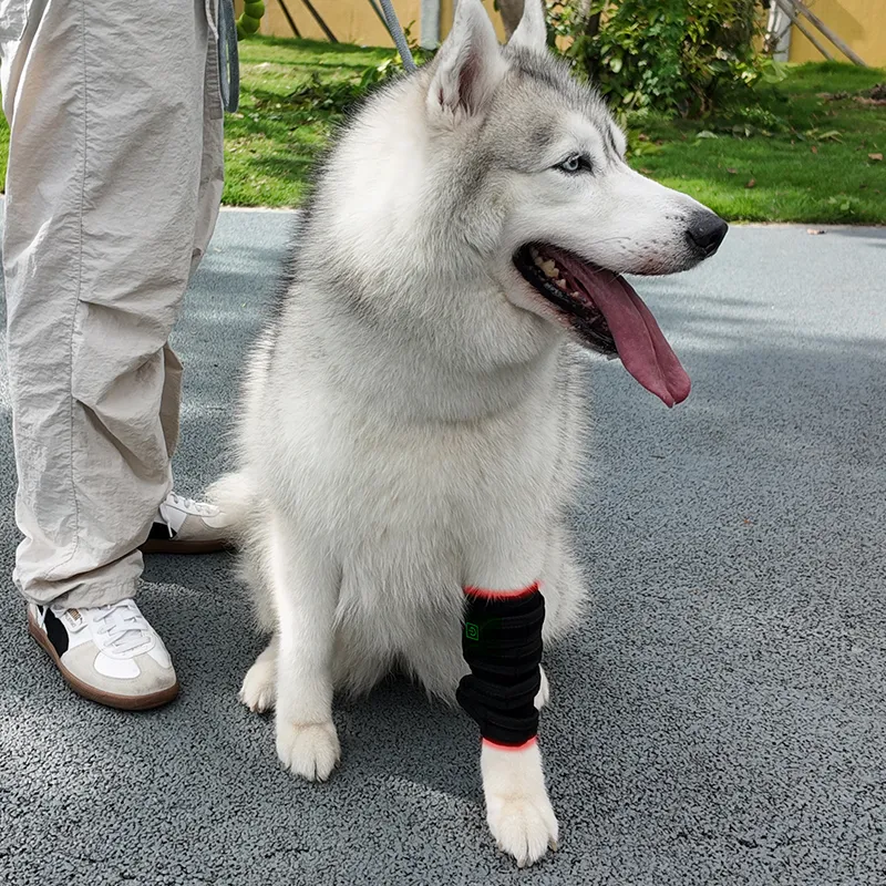 2PCs-Red Light Therapy Pet Leg Wrap
