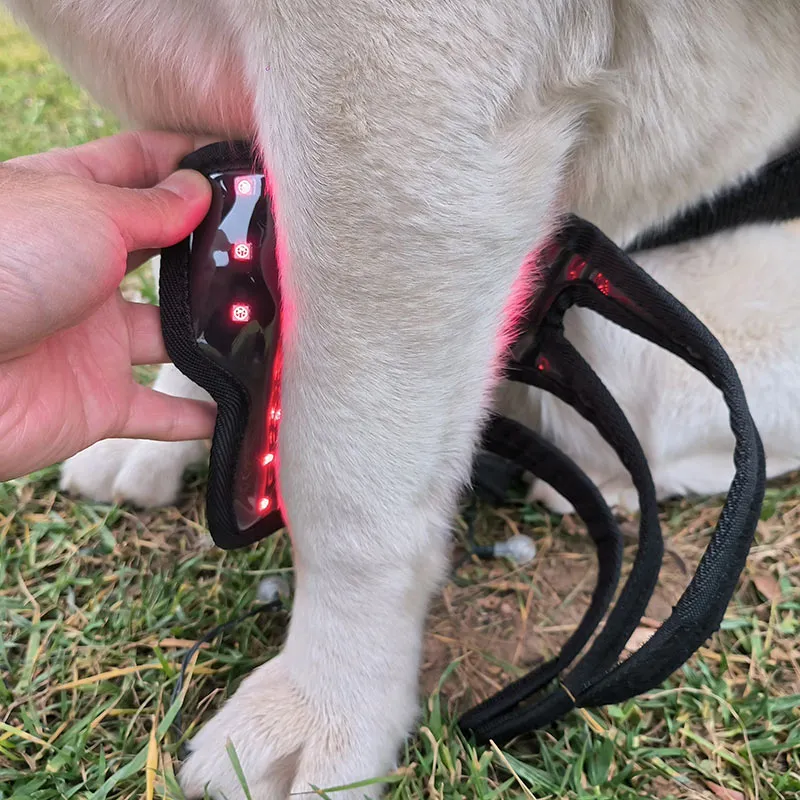 2PCs-Red Light Therapy Pet Leg Wrap