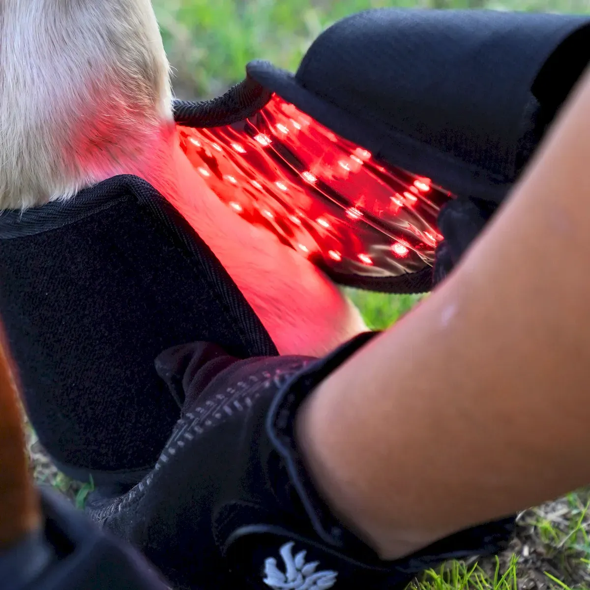 2PCS-Infrared Red Light Therapy Hoof Healer for Horses