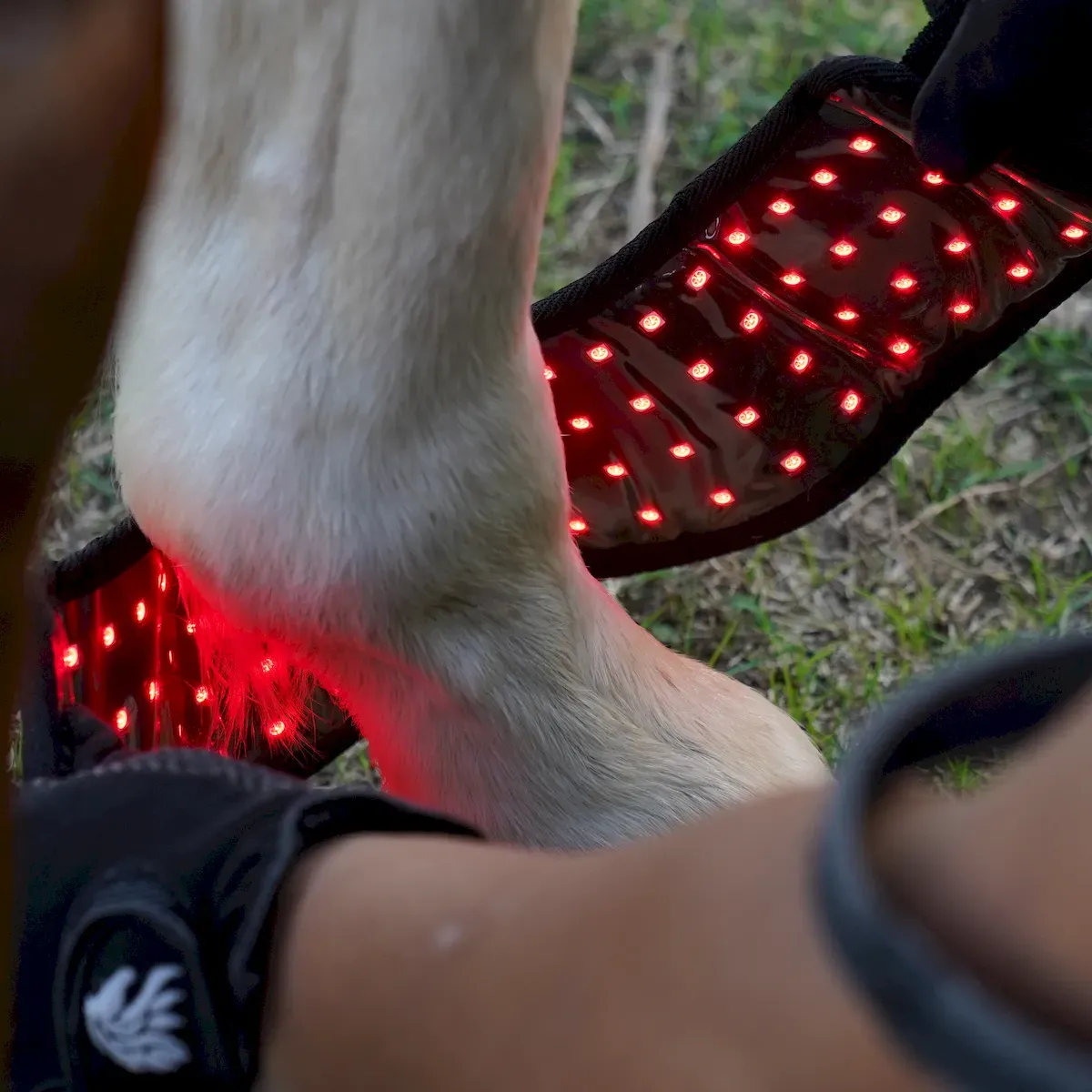 2PCS-Infrared Red Light Therapy Hoof Healer for Horses