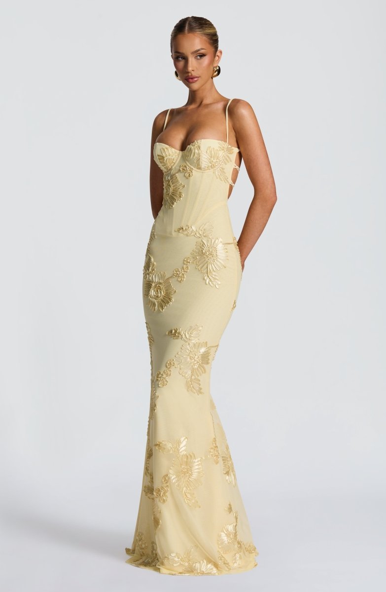 Figure-Hugging Maxi Dress with Lace