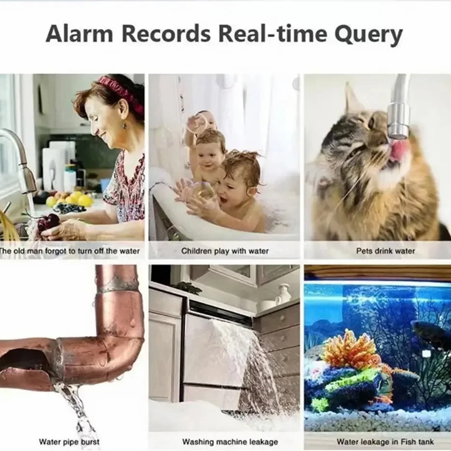 FlowSentri Water Leak Detector