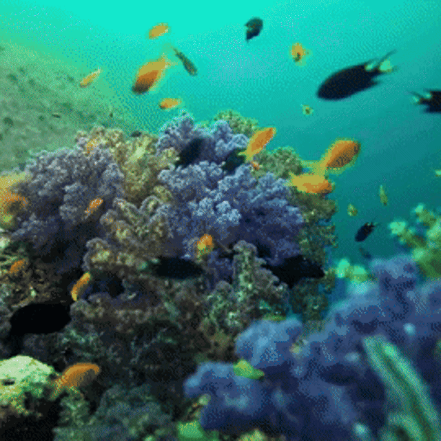 MatroDive Underwater Camera For Scuba Diving | 5K Ultra HD Video | Dual Screen | Image Stabilization | 30M Waterproof