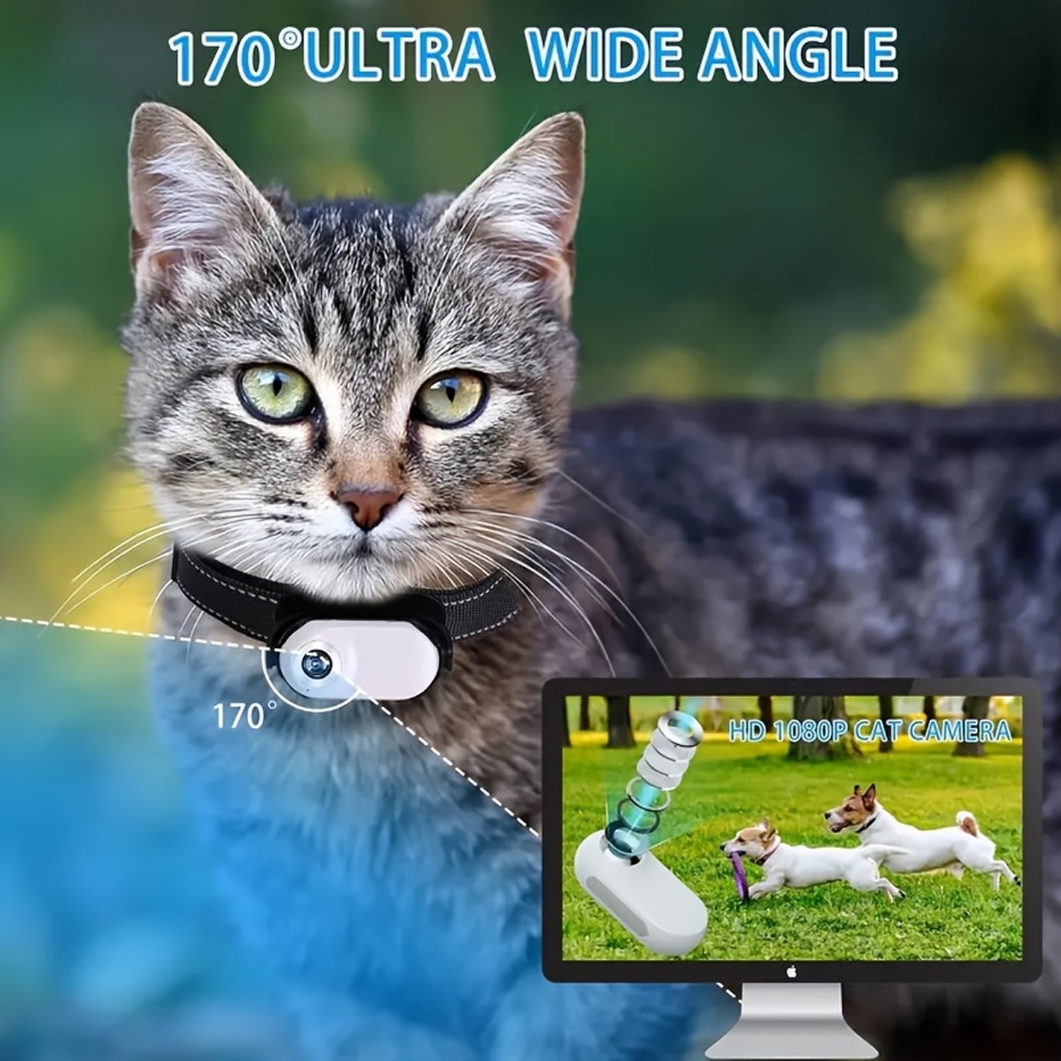 PawieView HD Pet Collar Camera | Wide-Angle Action Cam for Cats & Dogs Black