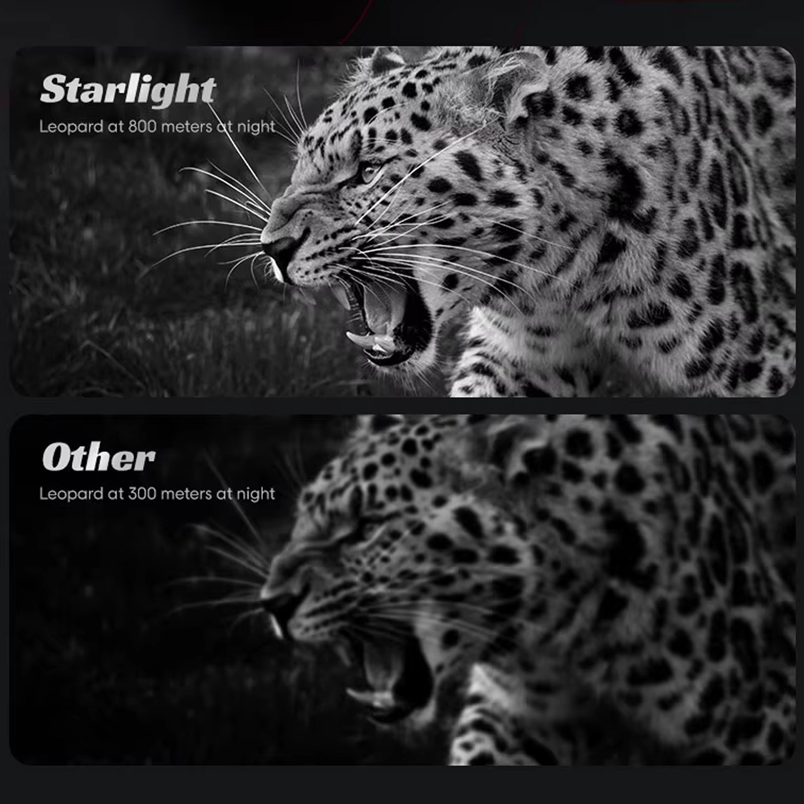 Experience Unrivalled Night Vision Technology with the PyroFlary Thermal Monocular